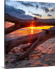 Load image into Gallery viewer, &#39;Scheele Preserve&#39;