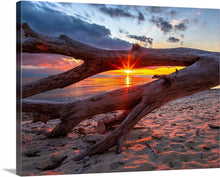 Load image into Gallery viewer, &#39;Scheele Preserve&#39;