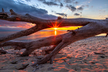 Load image into Gallery viewer, &#39;Scheele Preserve&#39;