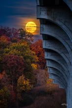 Load image into Gallery viewer, 'Spooky Season'