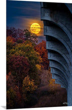Load image into Gallery viewer, 'Spooky Season'