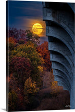 Load image into Gallery viewer, 'Spooky Season'