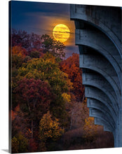Load image into Gallery viewer, 'Spooky Season'