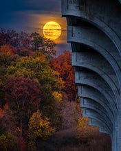 Load image into Gallery viewer, 'Spooky Season'