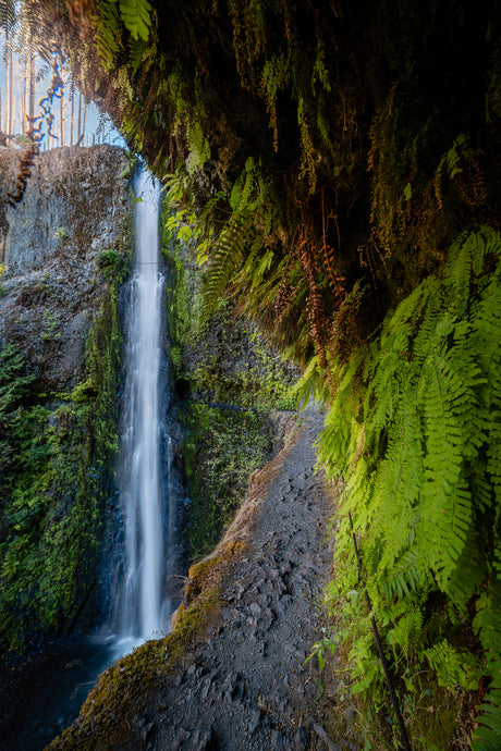 'Eagle Creek'