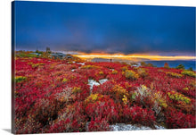 Load image into Gallery viewer, &#39;Fall-y Sods&#39;