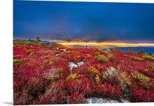 Load image into Gallery viewer, &#39;Fall-y Sods&#39;