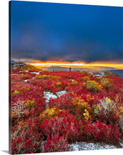 Load image into Gallery viewer, &#39;Fall-y Sods&#39;