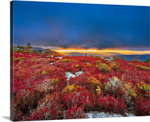 Load image into Gallery viewer, &#39;Fall-y Sods&#39;