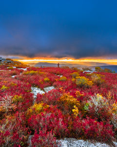 'Fall-y Sods'