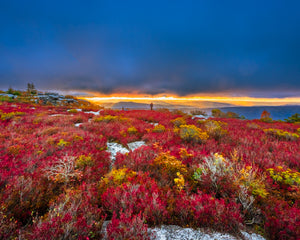 'Fall-y Sods'