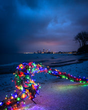 Load image into Gallery viewer, 'Feliz Navidad'