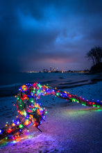 Load image into Gallery viewer, 'Feliz Navidad'