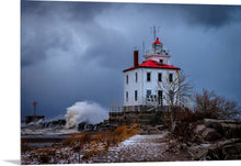 Load image into Gallery viewer, 'In-seich-able, pt. 4'