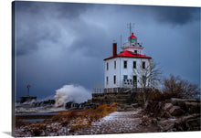 Load image into Gallery viewer, 'In-seich-able, pt. 4'