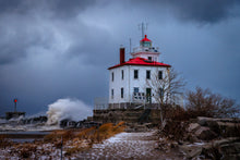 Load image into Gallery viewer, 'In-seich-able, pt. 4'