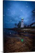 Load image into Gallery viewer, 'In-seich-able, pt. 2'