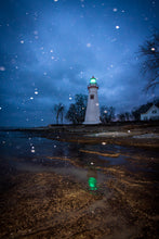 Load image into Gallery viewer, 'In-seich-able, pt. 2'