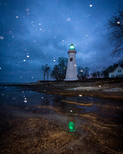 Load image into Gallery viewer, 'In-seich-able, pt. 2'