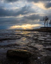 Load image into Gallery viewer, 'In-seich-able, pt. 3'