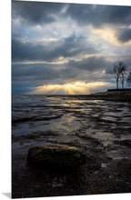 Load image into Gallery viewer, 'In-seich-able, pt. 3'