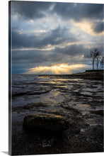 Load image into Gallery viewer, 'In-seich-able, pt. 3'