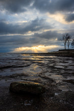 Load image into Gallery viewer, 'In-seich-able, pt. 3'