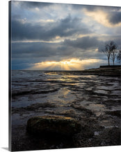 Load image into Gallery viewer, 'In-seich-able, pt. 3'