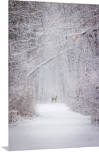 Load image into Gallery viewer, &#39;With the snow falling fiercely.&#39;