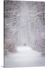 Load image into Gallery viewer, &#39;With the snow falling fiercely.&#39;