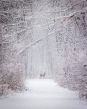 Load image into Gallery viewer, &#39;With the snow falling fiercely.&#39;