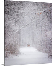 Load image into Gallery viewer, &#39;With the snow falling fiercely.&#39;