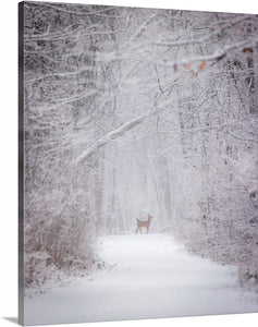 'With the snow falling fiercely.'