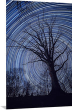 Load image into Gallery viewer, &#39;An Evening Beneath the Stars&#39;
