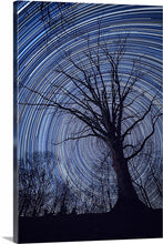Load image into Gallery viewer, &#39;An Evening Beneath the Stars&#39;