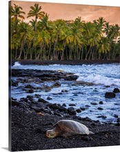 Load image into Gallery viewer, 'Sleepy Honu'