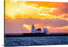 Load image into Gallery viewer, 'Spotlight'