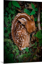 Load image into Gallery viewer, &#39;Near &amp; Deer&#39;