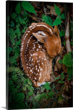 Load image into Gallery viewer, &#39;Near &amp; Deer&#39;