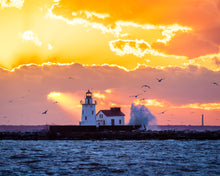 Load image into Gallery viewer, 'Spotlight'