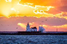 Load image into Gallery viewer, 'Spotlight'