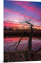 Load image into Gallery viewer, 'Spring is in the Air!'