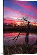 Load image into Gallery viewer, 'Spring is in the Air!'