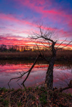 Load image into Gallery viewer, 'Spring is in the Air!'