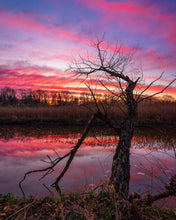 Load image into Gallery viewer, 'Spring is in the Air!'