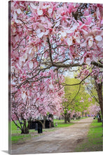 Load image into Gallery viewer, &#39;Magnolia Alley&#39;