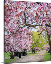 Load image into Gallery viewer, &#39;Magnolia Alley&#39;