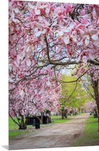 Load image into Gallery viewer, &#39;Magnolia Alley&#39;
