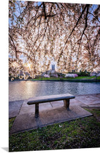 Load image into Gallery viewer, 'Blossom Season 2026'