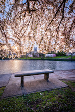 Load image into Gallery viewer, 'Blossom Season 2026'